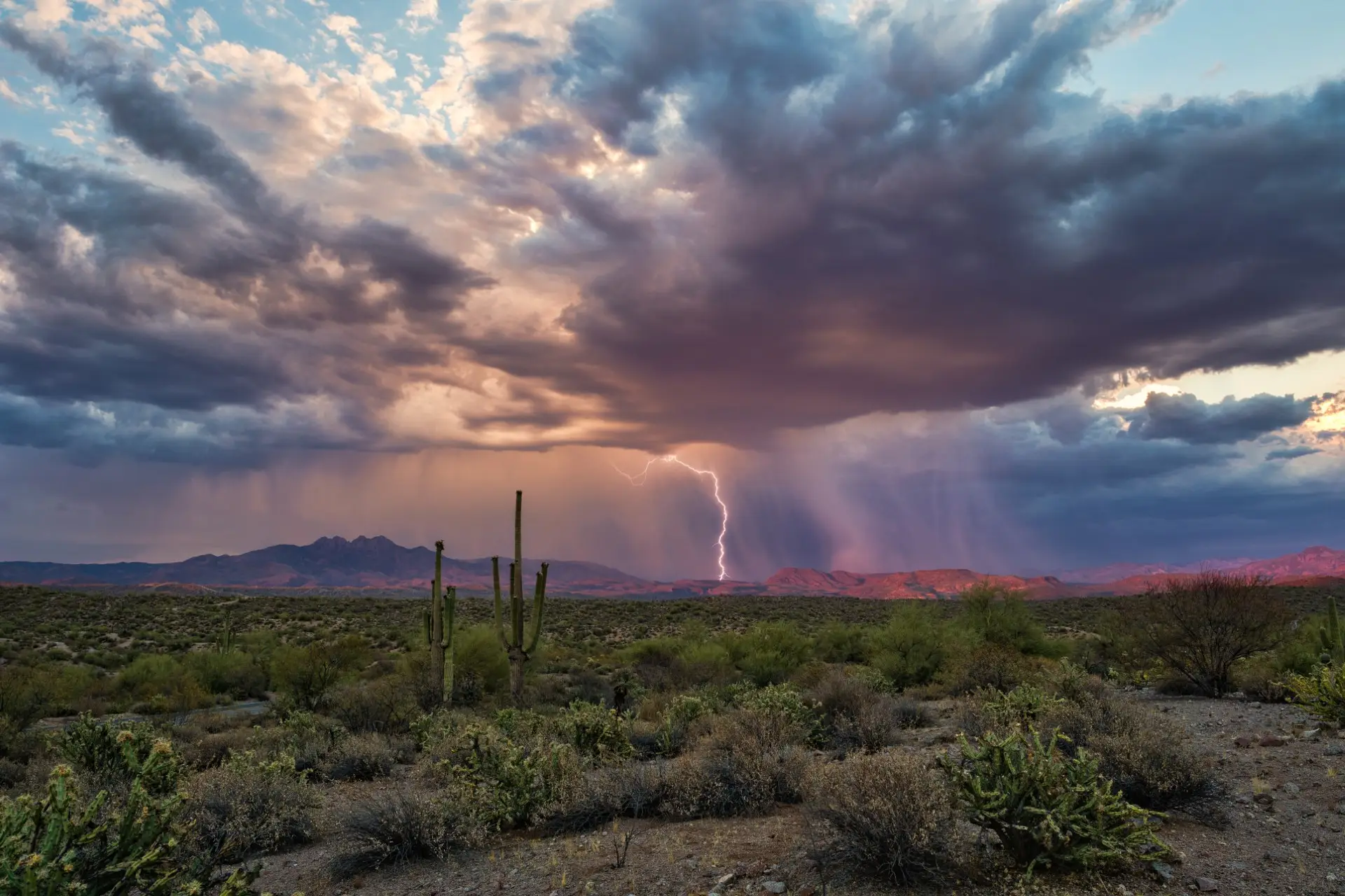 Lightning storm over Tucson desert