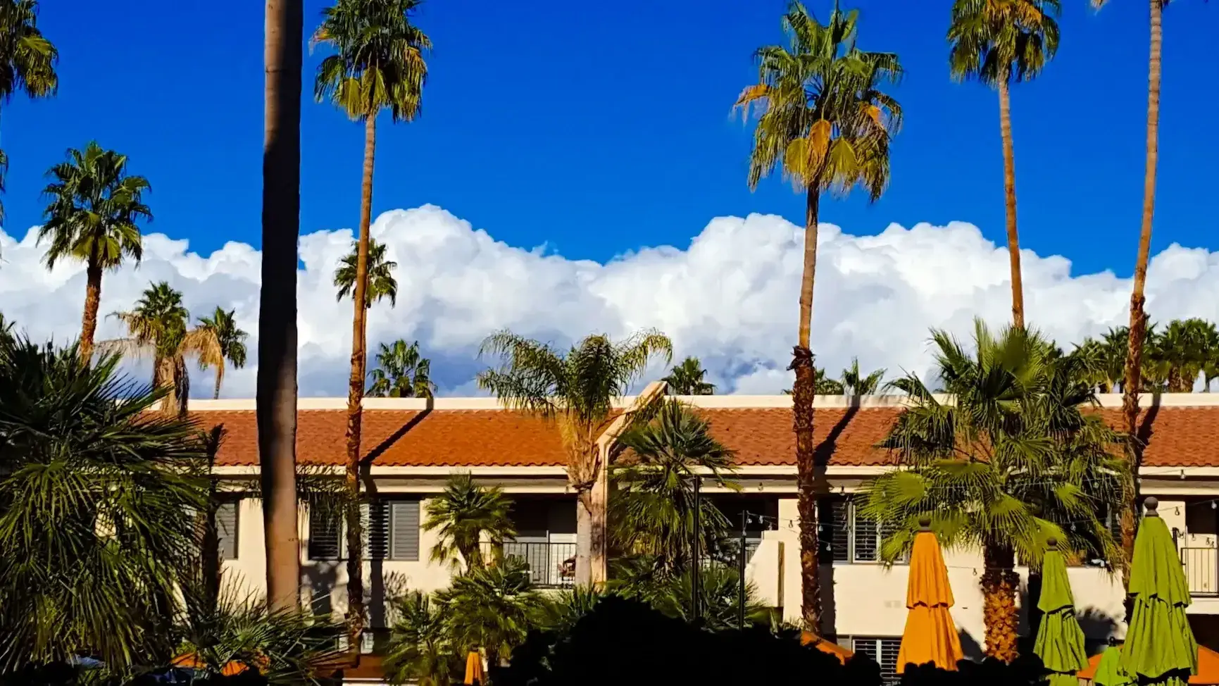 Catalina Foothills home with tile roof and palm trees